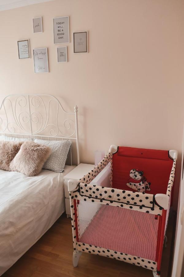 Apartment Orchid 021 Novi Sad Ngoại thất bức ảnh