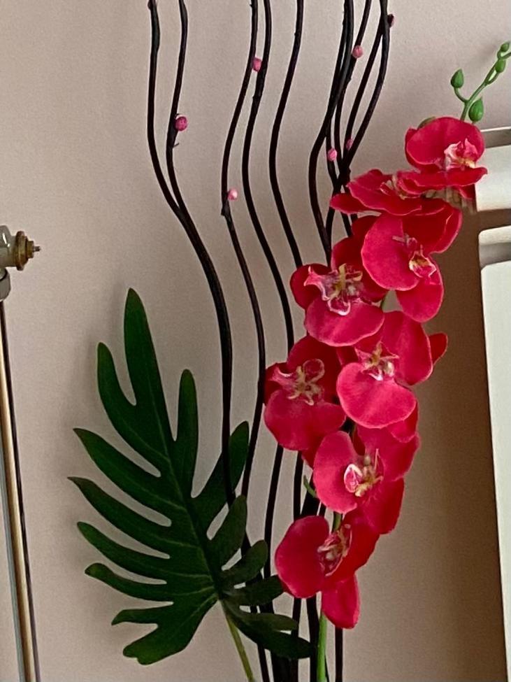 Apartment Orchid 021 Novi Sad Ngoại thất bức ảnh