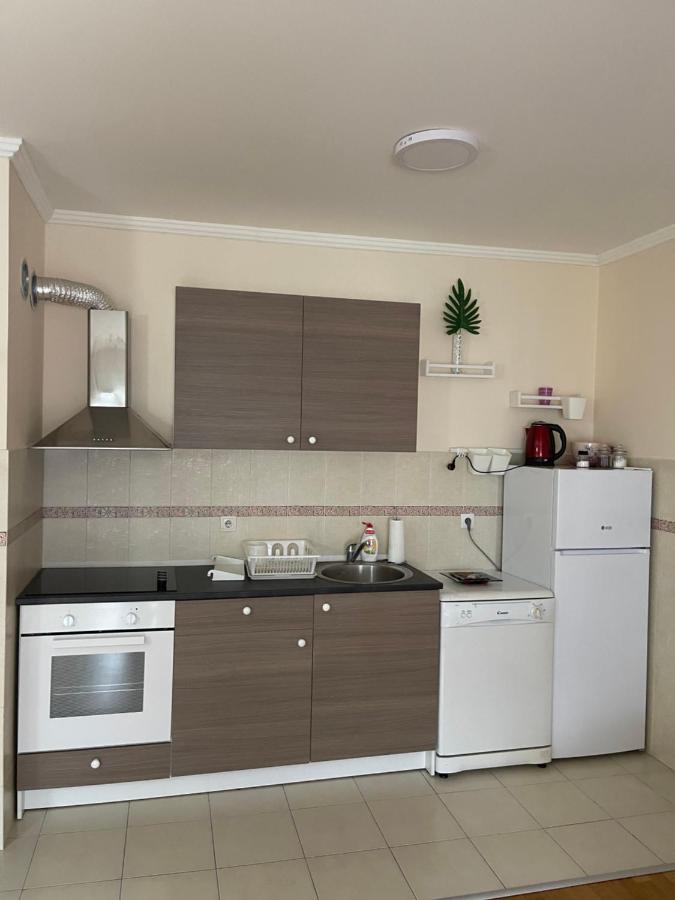Apartment Orchid 021 Novi Sad Ngoại thất bức ảnh
