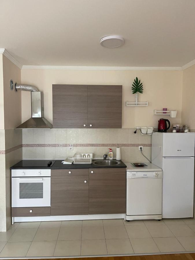 Apartment Orchid 021 Novi Sad Ngoại thất bức ảnh