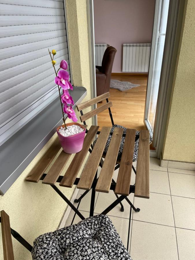 Apartment Orchid 021 Novi Sad Ngoại thất bức ảnh